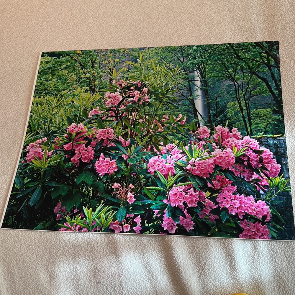 Floral Print - Picture 7 of 7